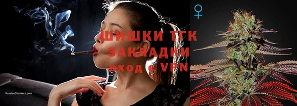 эйфоретик Чекалин