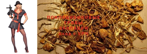 мяу мяу мука Шадринск